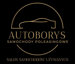 logo dealera phuborys